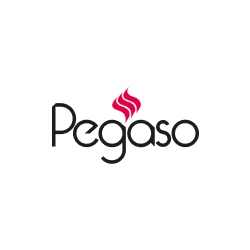 Pegaso